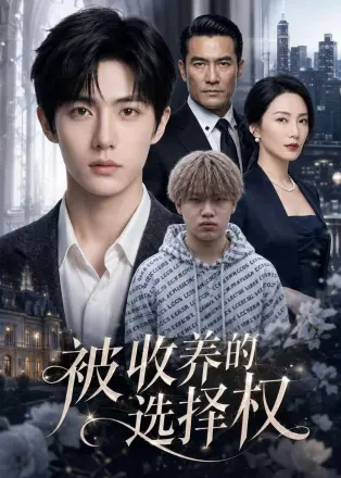 被收养的选择权    AI