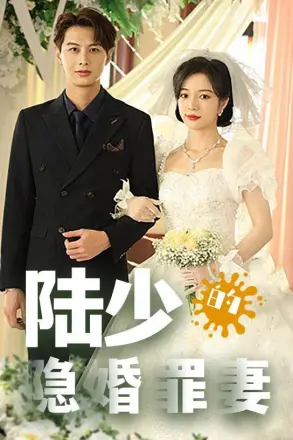 陆少的隐婚罪妻