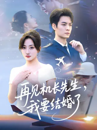 再见机长先生，我要结婚了