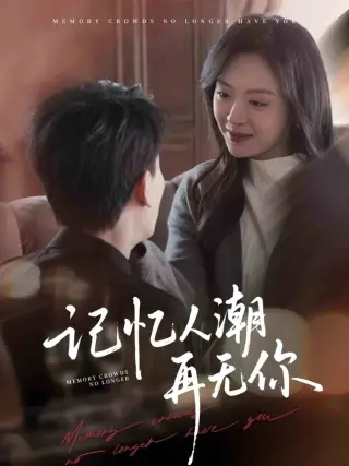 记忆人潮再无你