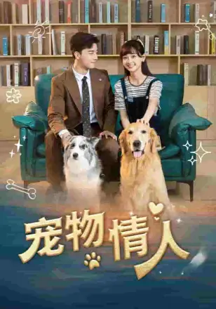 宠物情人