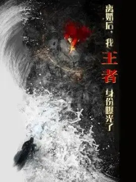 离婚后,我王者身份曝光了(离婚后我王者身份曝光了)