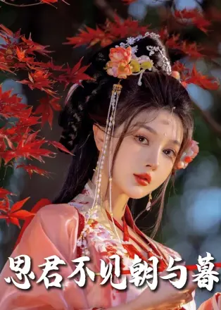 思君不见朝与暮