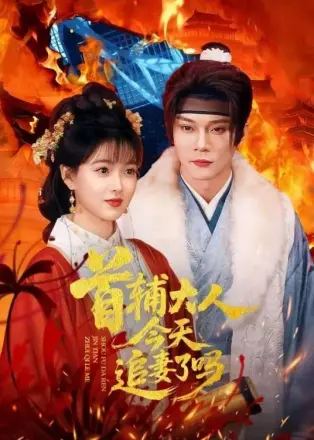 首辅大人，今天追妻了吗