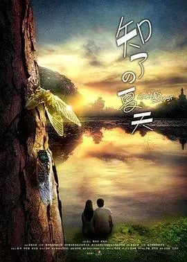 来不及爱你
