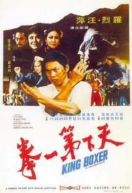 天下第一拳(1972)