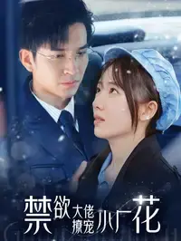 禁欲大佬撩宠小厂花（小可怜靠生子宠冠电子厂）