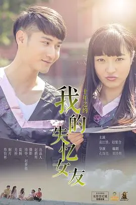 我的失忆女友(2015)