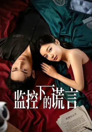监控下的谎言  Ai
