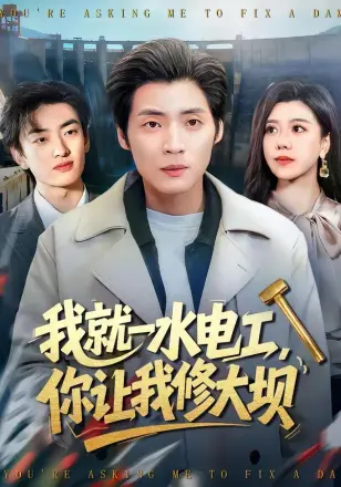 我就一水电工，你让我修大坝