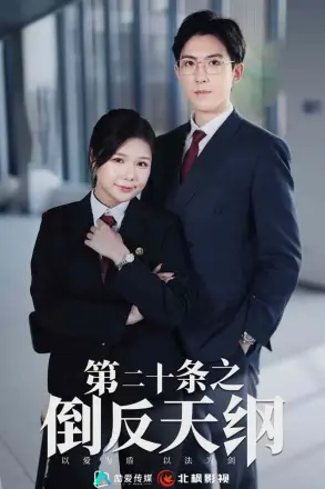 第二十条之倒反天纲