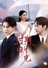 过期白月光