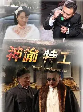 神偷特工(2013)