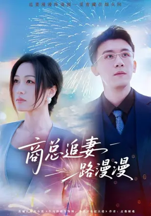 商总追妻路漫漫
