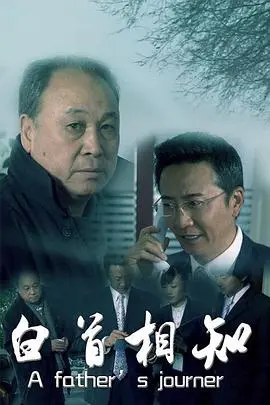 白首相知(2010)