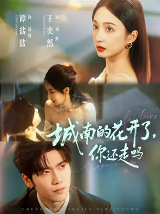 城南的花开了，你还走吗