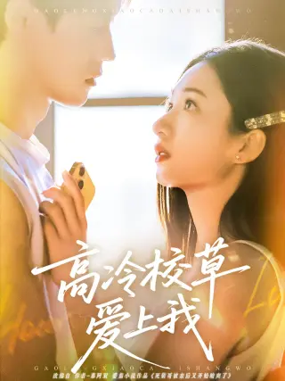 高冷校草爱上我