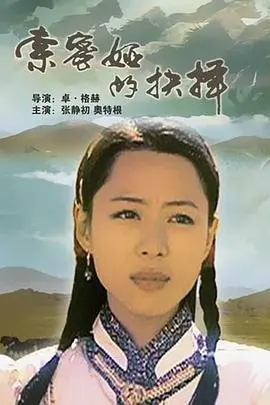 索密娅的抉择(2003)