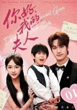 顾总,我才是你的夫人(你好,我的夫人)