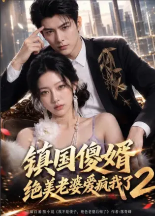 镇国傻婿：绝美老婆爱疯我了 2