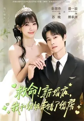 救命新婚夜我和姐姐走错了婚房(2026)