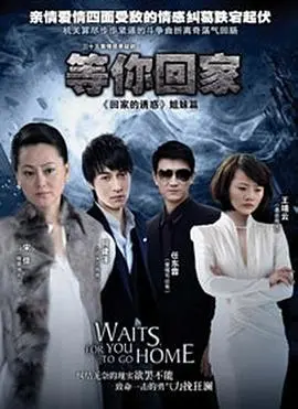 等你回家2013