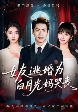 女友逃婚为白月光妈哭丧