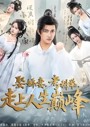 娶娇妻，考科举，走上人生巅峰