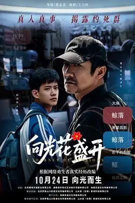 向光花盛开