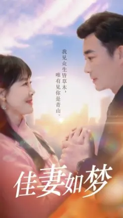 佳妻如梦短剧
