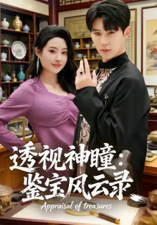 透视神瞳:鉴宝风云录