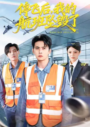 停飞后,我的航班坠毁了