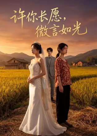 许你长愿,微言如光 AI