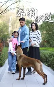 养狗应有道