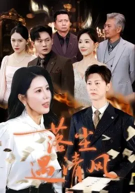 落尘遇清风 离婚而已