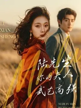 陆先生，你的夫人武艺高强