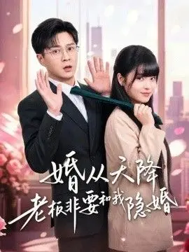 婚从天降老板非要和我隐婚