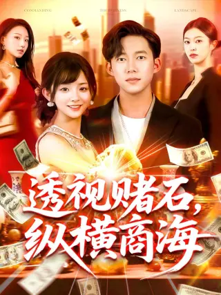 透视赌石,纵横商海