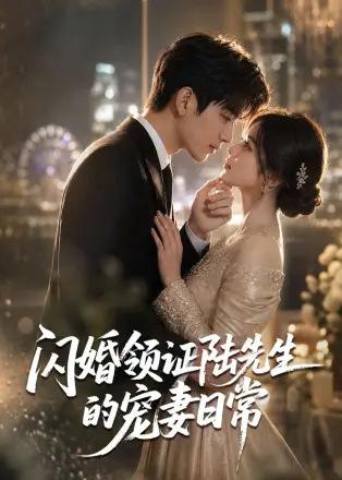 闪婚领证陆先生的宠妻日常