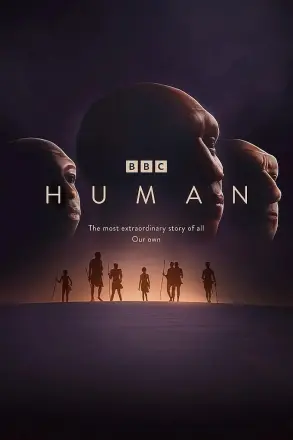 人类