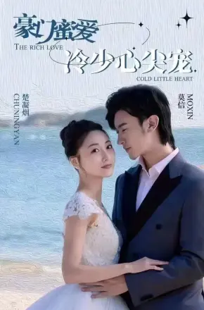 豪门蜜爱:冷少心尖宠