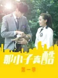 那小子真酷第二季