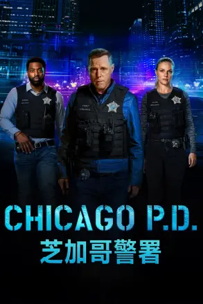 芝加哥警署 第六季