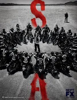 混乱之子(2012)