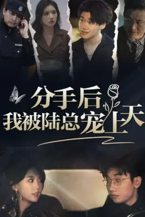 分手后,我被陆总宠上天