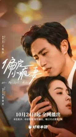 偏宠小疯妻
