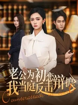 老公为初恋辩护，我当庭反击