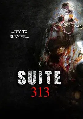 313套房(2017)