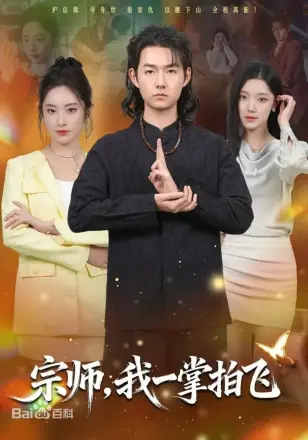 宗师，我一掌拍飞