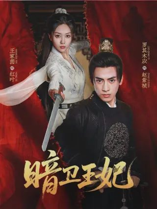 暗卫王妃